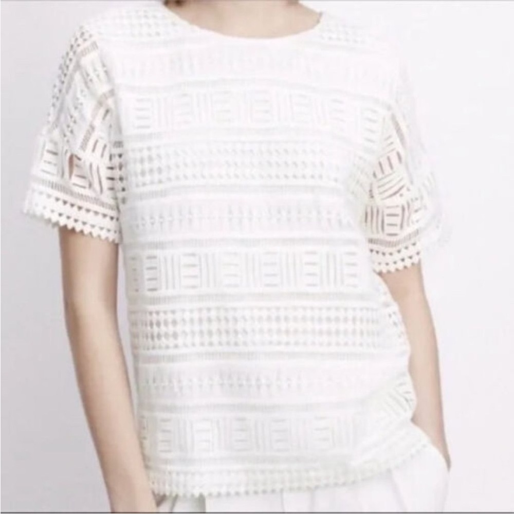 Vince Geometric Lace Crochet Top Short Sleeve Lined Cotton White Career Sz S - Picture 9 of 10